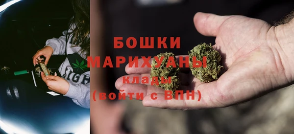 PSILOCYBIN Абдулино